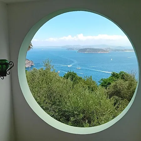 Bed & Breakfast La Pergola Del Torchio Ischia